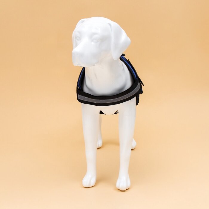 Изображение Шлейка К9 мягкая светоотражающая, размер ХL, ОГ 80-95 см, вес 30-45 кг, синяя