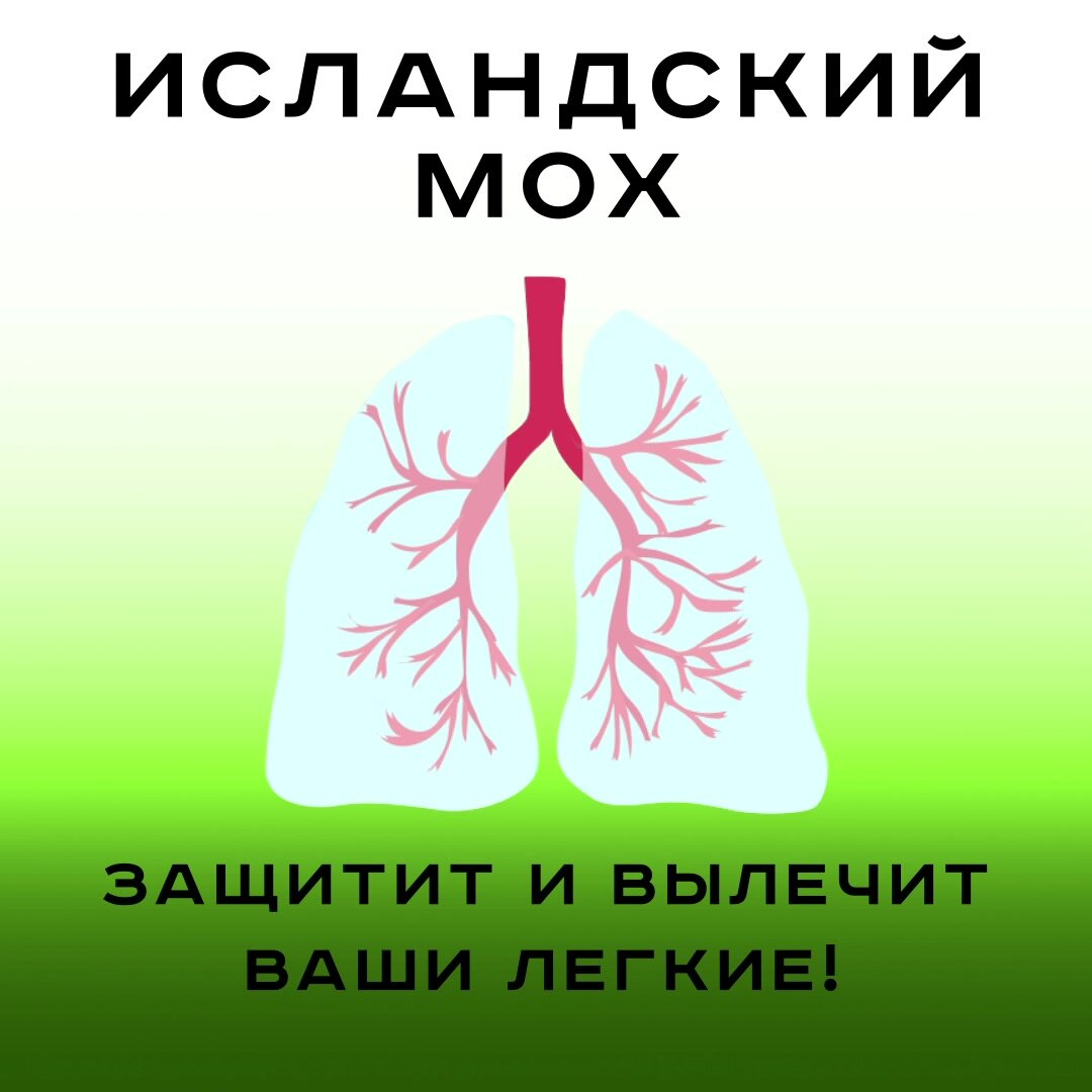 Исландский мох от кашля / Антисептик, от простуды, для иммунитета / 108 трав, 60 капсул — фото 1
