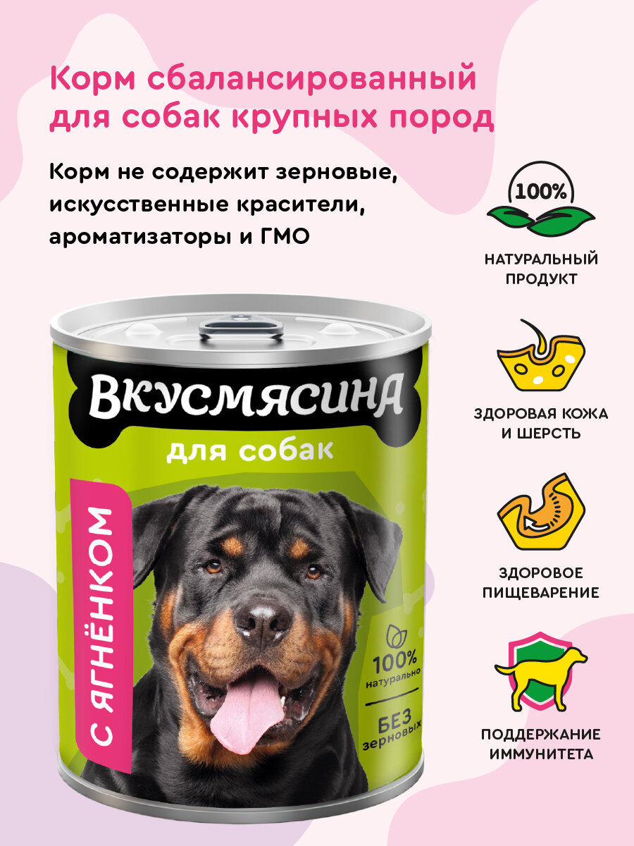 Корм для собак влажный, вкусмясина с ягненком, 850 г х 6 шт. — фото 1