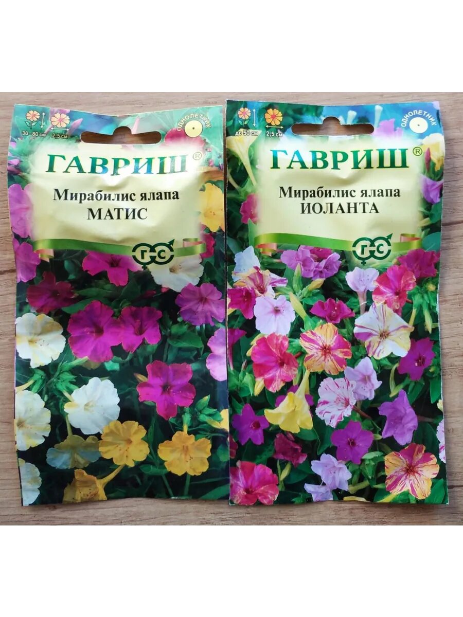 Мирабилис Матис (1 г) и Йоланта (1 г)