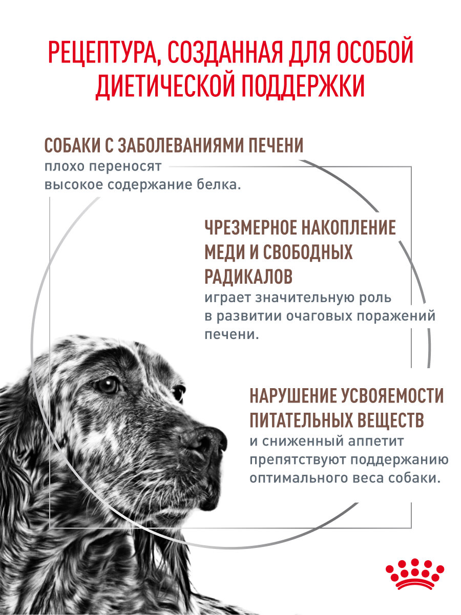 Сухой корм для собак Royal Canin Hepatic при заболеваниях печени, 1,5 кг — фото 1