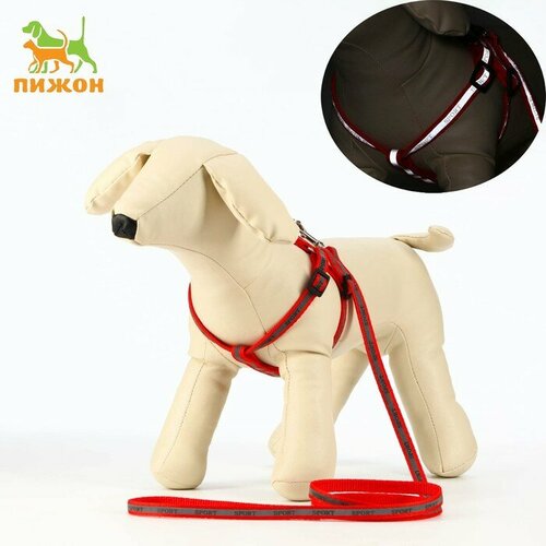 Комплект Спорт светоотражающий, ширина 1 см, поводок 1,2 м, шлейка 23-35 см, красный шлейка для собак поводок для собак светоотражающий ширина 1 см чёрный