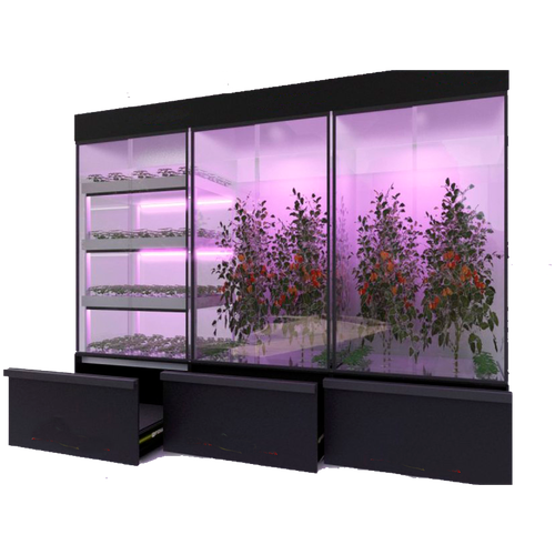 Цифровая овощная биолаборатория Ситиферма БиопониQ-ТО3\1 для научно-исследовательской работы