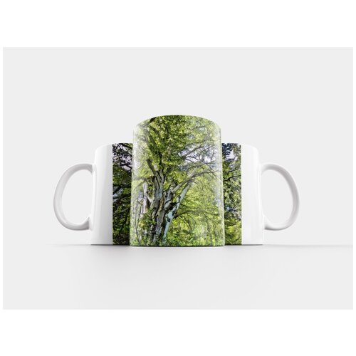 фото Кружка "дерево, волшебное дерево мечты, эскиз" 320 мл lotsprints