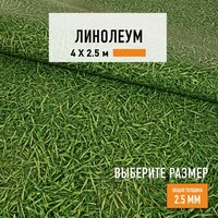 Линолеум для пола на отрез 4х2,5 м IVC Neo Grass 025, бытовой, 22 класс, 4820625-4х2,5