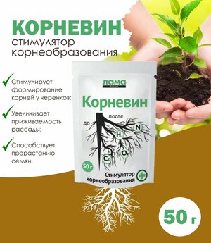 Стимулятор роста и корнеобразования "Корневин", 50 г / биостимулятор для растений