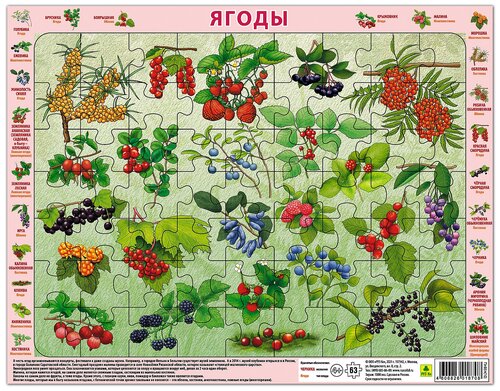 Ягоды. Детский пазл на подложке(36х28 см, 63 эл.)