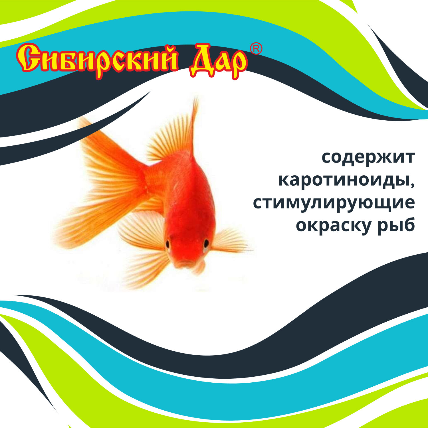 Корм для рыб "Сибирский дар" - гаммарус (тушка), 250 мл - для рыб всех размеров и возрастов - фотография № 4