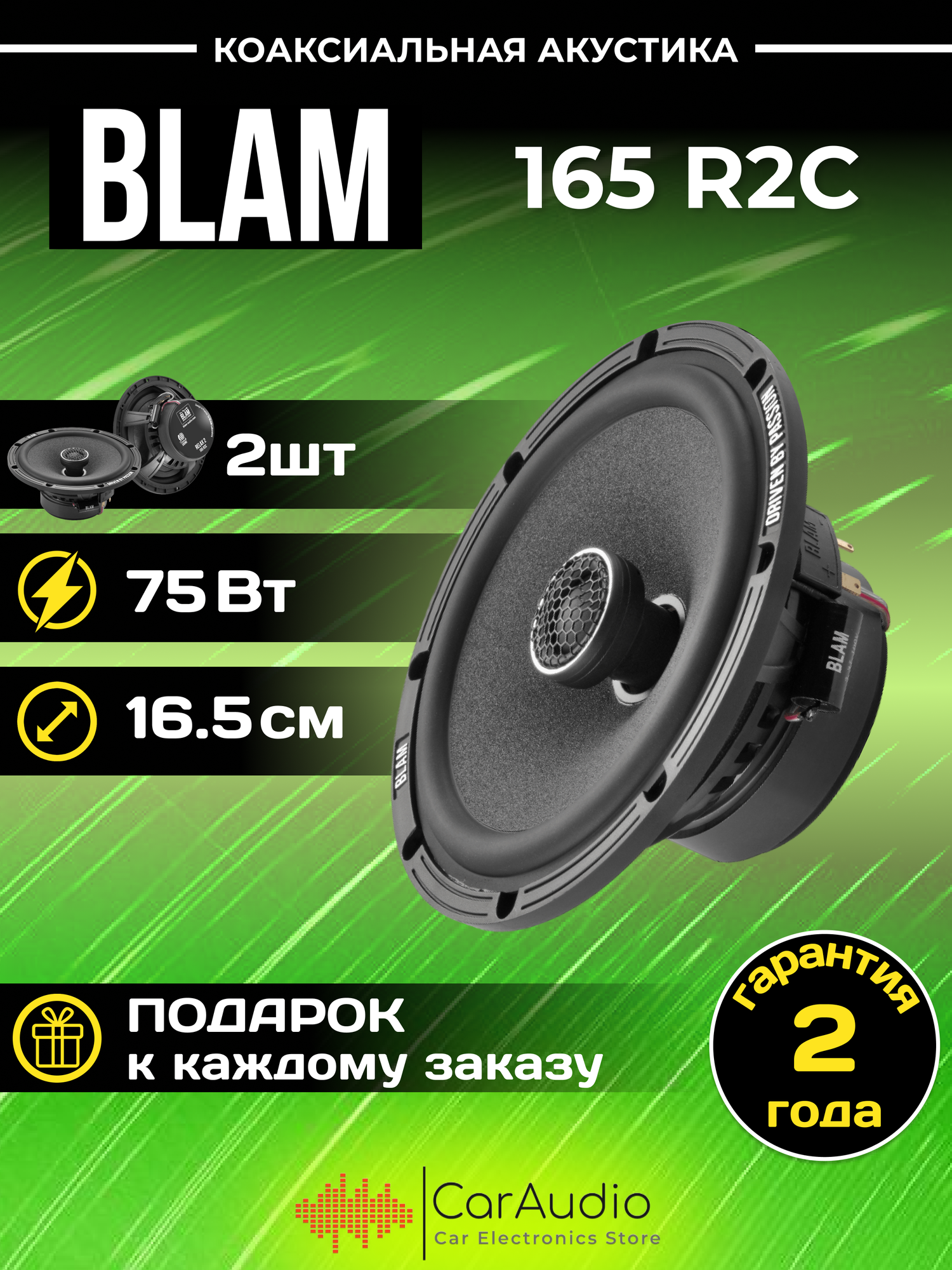 Акустика BLAM 165R2C