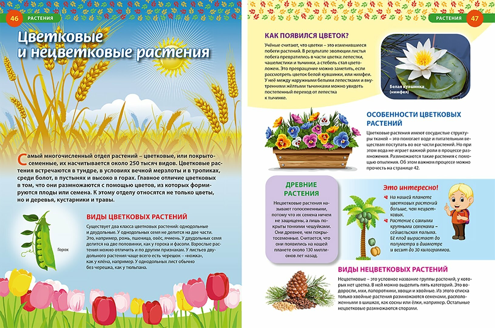Детская иллюстрированная энциклопедия - фото №11
