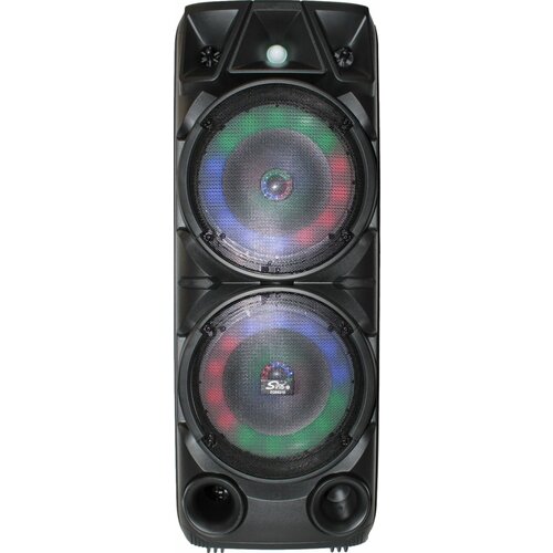 Напольная колонка 8210 Черная 1065000₽