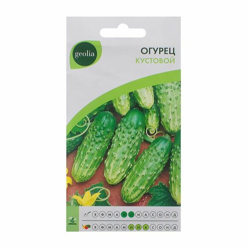 Семена Огурцов Кустовой