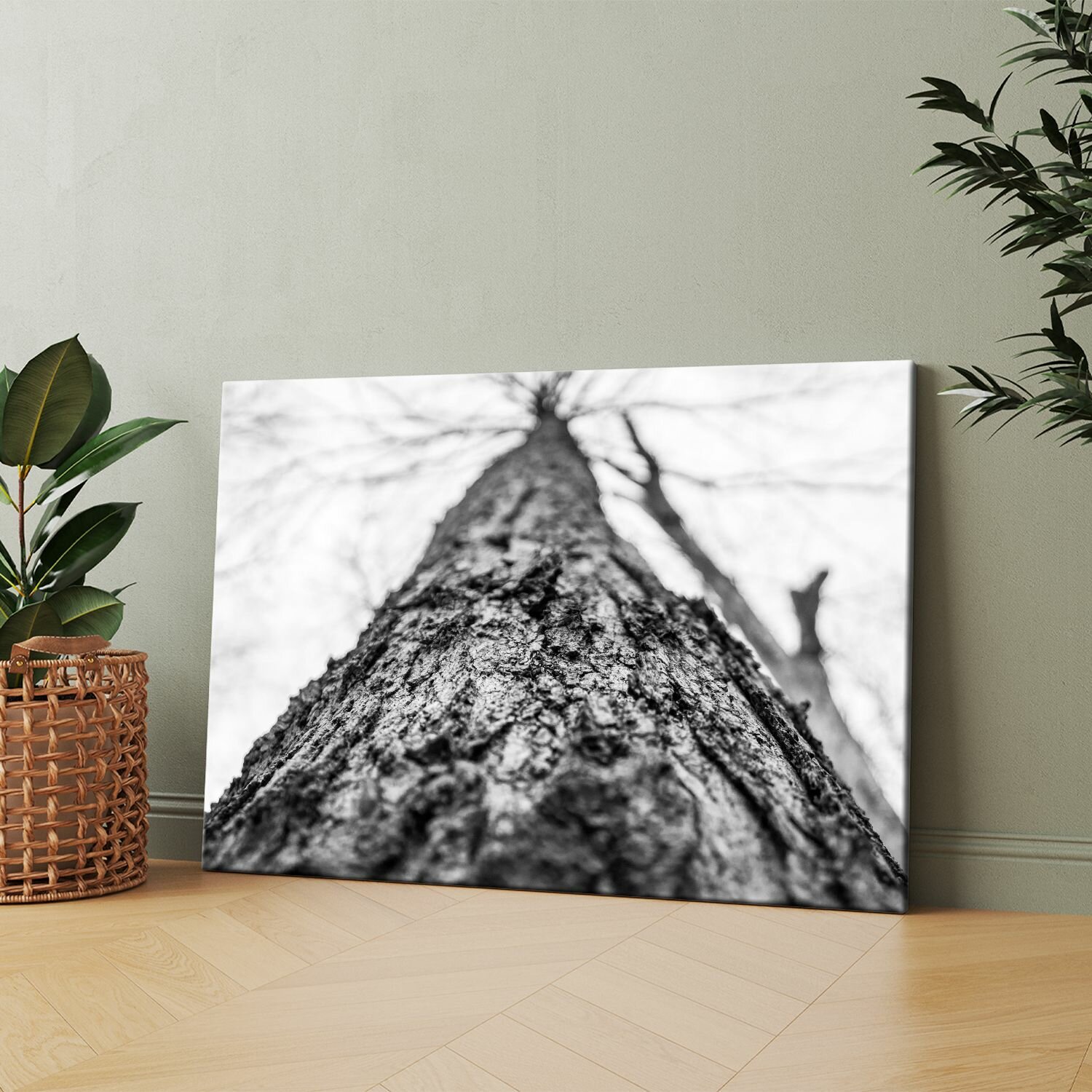 Картина на холсте (Черно-белое фото дерева) 30x40 см. Интерьерная, на стену.