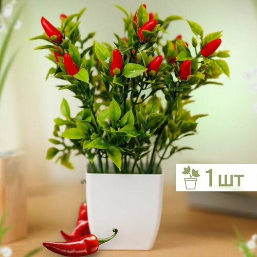 Перчик 1 шт 287₽