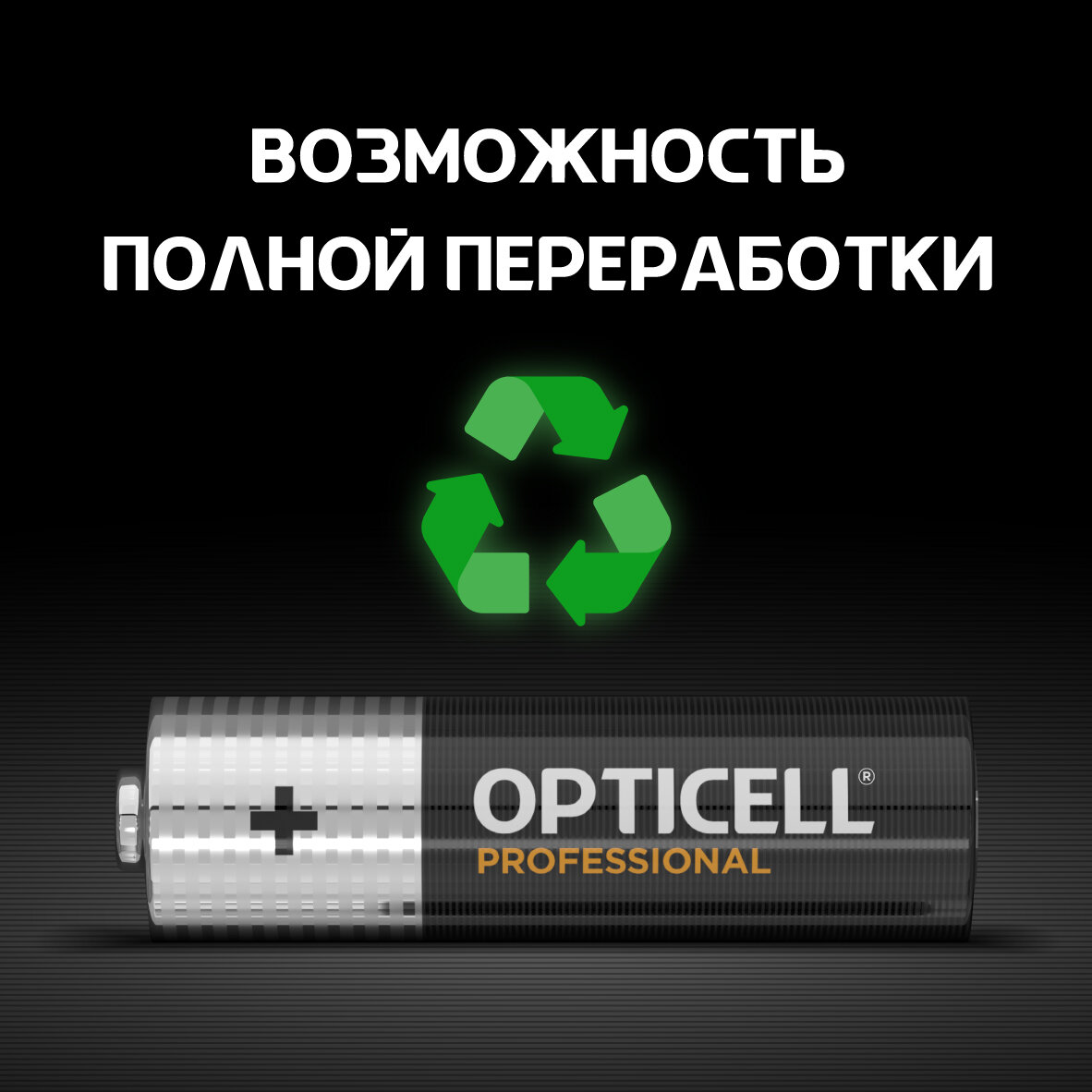 Элемент питания алкалиновый 12AA/LR6 Professional Opticell