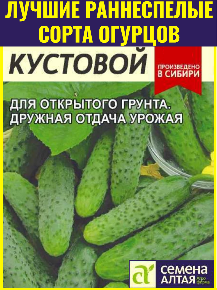 Семена огурцов для открытого грунта Кустовой - 05 г. Ранний урожайный сорт компактный куст