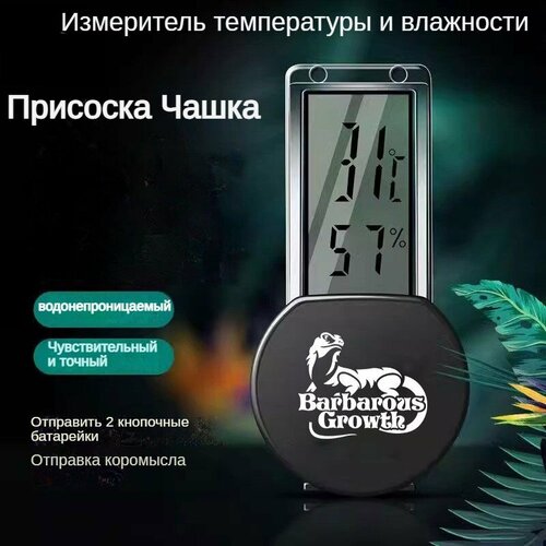 Термометр и гигрометр для рептилий