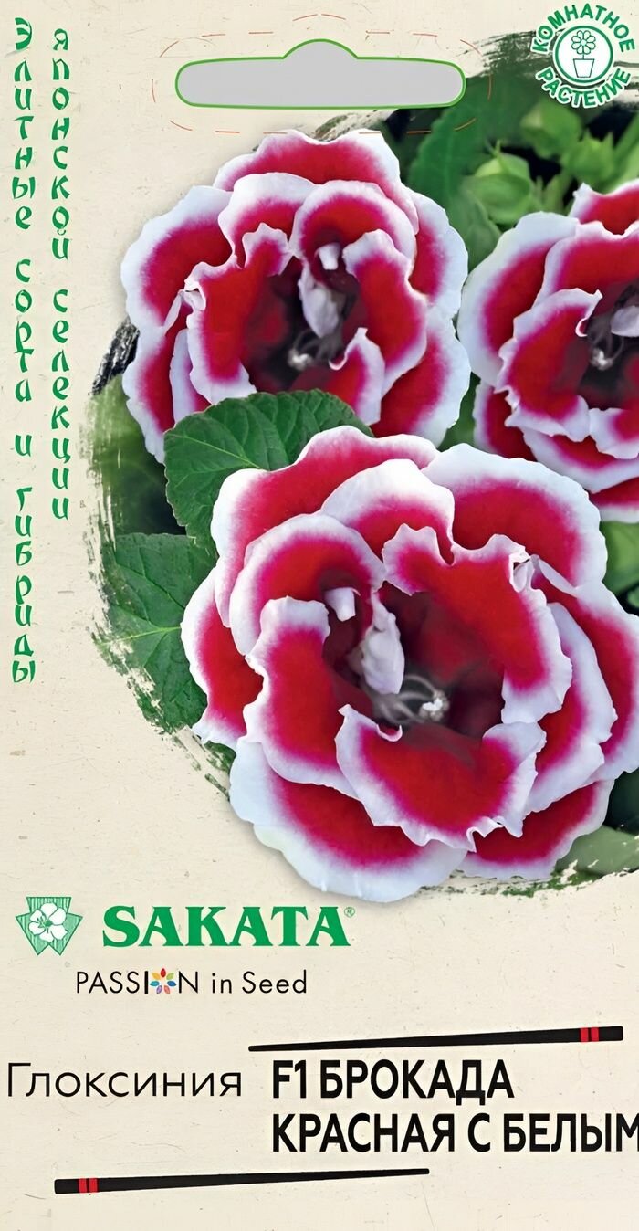 Цветы Глоксиния Брокада красная с белым F1