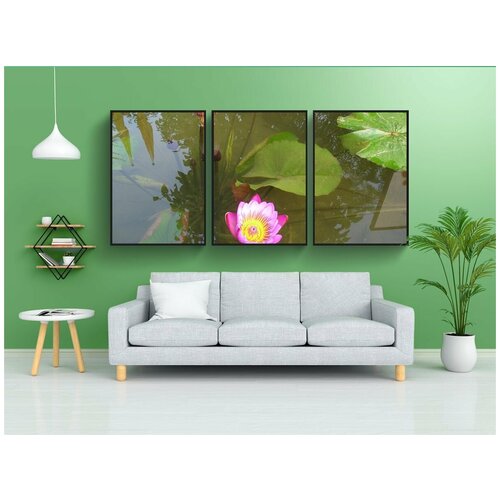 фото Набор модулных постеров для интерьера "непал, цветок лотоса, водяная лилия" 60x90 см. в тубусе, без рамки lotsprints