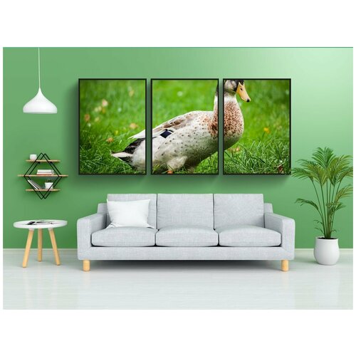 фото Набор модулных постеров для интерьера "селезень, утка, луг" 60x90 см. в тубусе, без рамки lotsprints