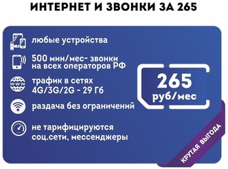 Интернет и звонки за 265