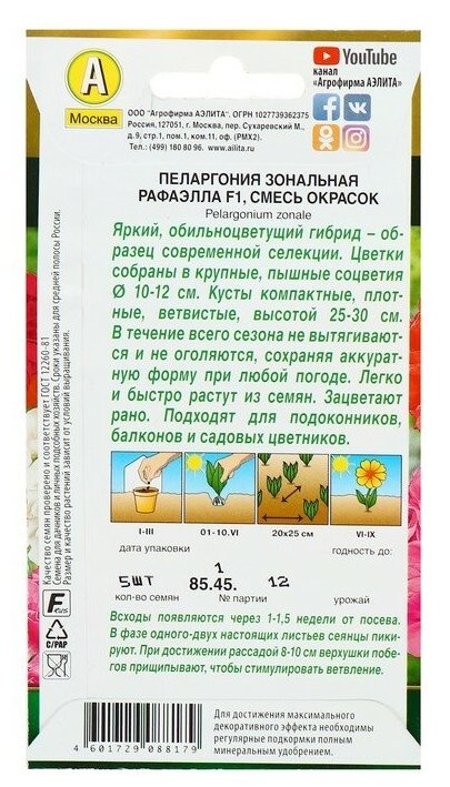 Семена Пеларгония Рафаэлла F1, смесь окрасок 5 шт (семян) (Аэлита)