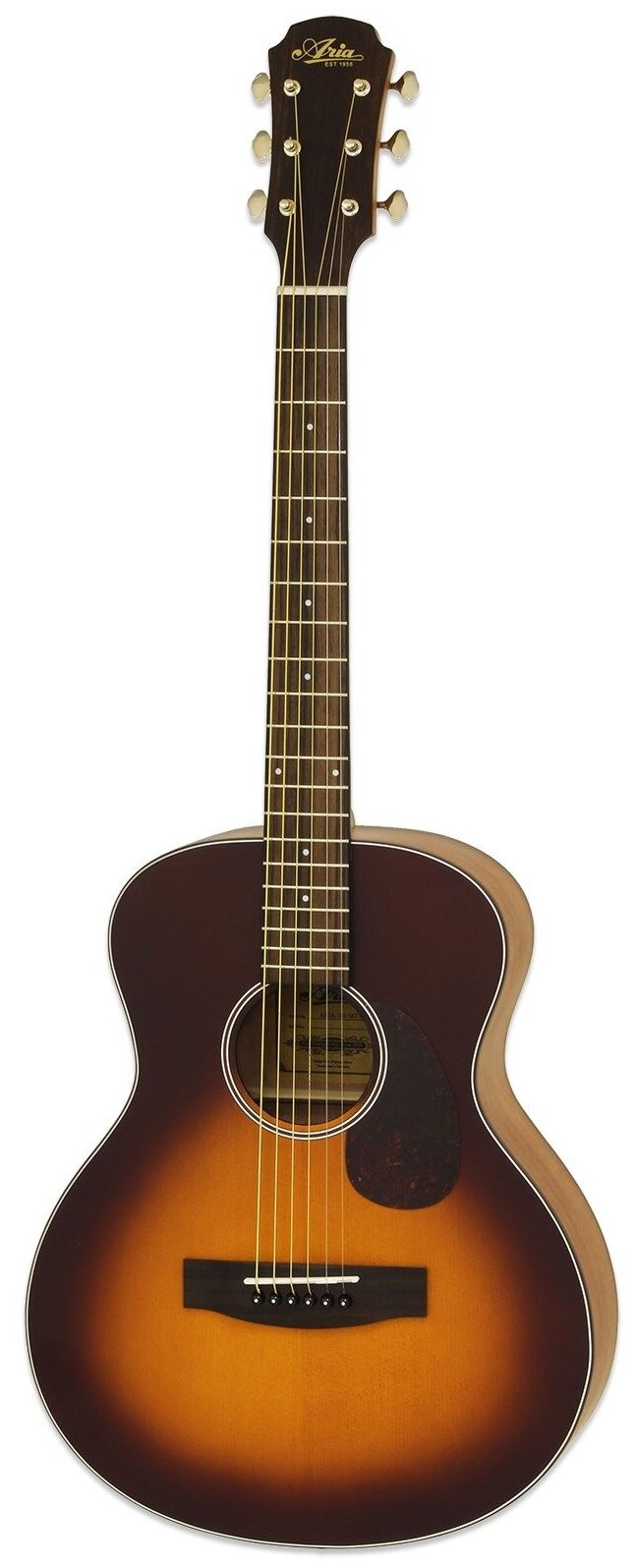 Акустическая гитара Aria 151 Mtts .