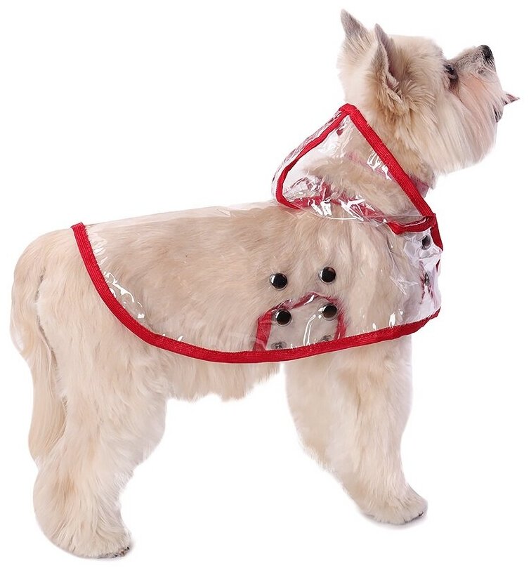 Дождевик для собак Монморанси "Дождевик прозрачный", цвет: красный, размер S, длина спины 22 см. - фотография № 1
