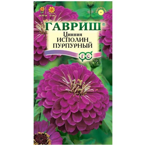 Семена. Цинния Исполин пурпурный (вес: 0,3 г) цинния исполин пурпурный семена цветы