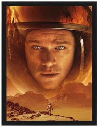 Постер в рамке The Martian, 32 х 42 см