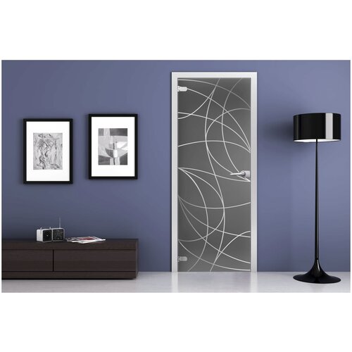 Межкомнатная стеклянная дверь Ottawa графит 2000x700 с фурнитурой classic и R-коробкой серебро