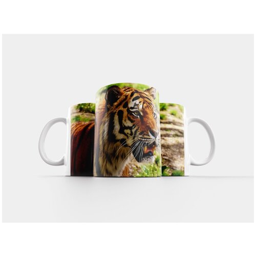 фото Кружка "тигр, хищник, шерсть" 320 мл lotsprints