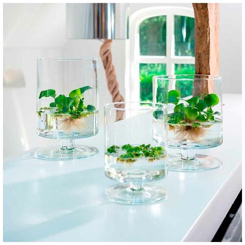 Подсвечник-ваза Hakbijl Glass Yvonn 24x19см