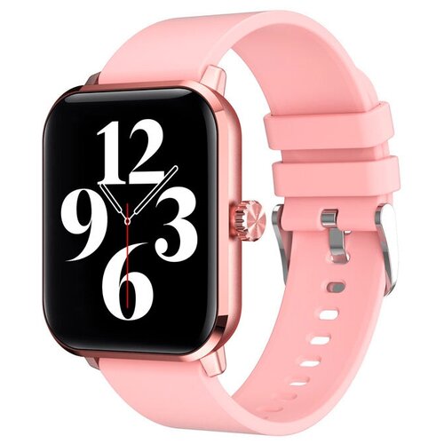 BandRate Smart BRSHW23GP 552500₽