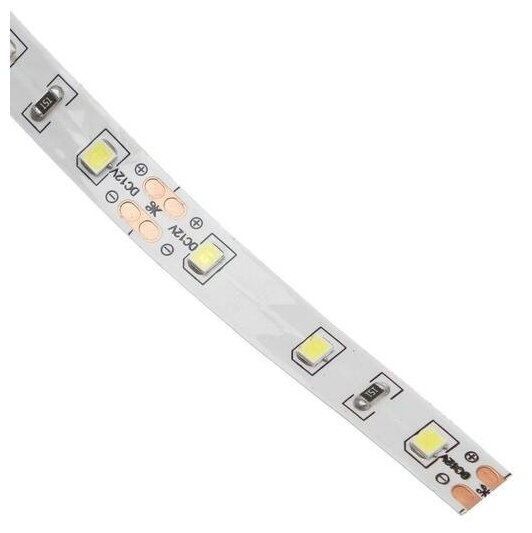 Светодиодная лента Ecola PRO, 12В, SMD2835, 5 м, IP20, 8Вт/м, 60 LED/м, 6000К./В упаковке шт: 1 - фотография № 4