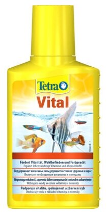 Tetra (оборудование) Кондиционер с йодом и витамином В Tetra Vital 100ml 139237 | Tetra Vital, 0,1 кг, 40255