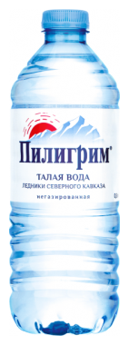 Вода Пилигрим питьевая негазированная 500мл Меркурий - фото №1