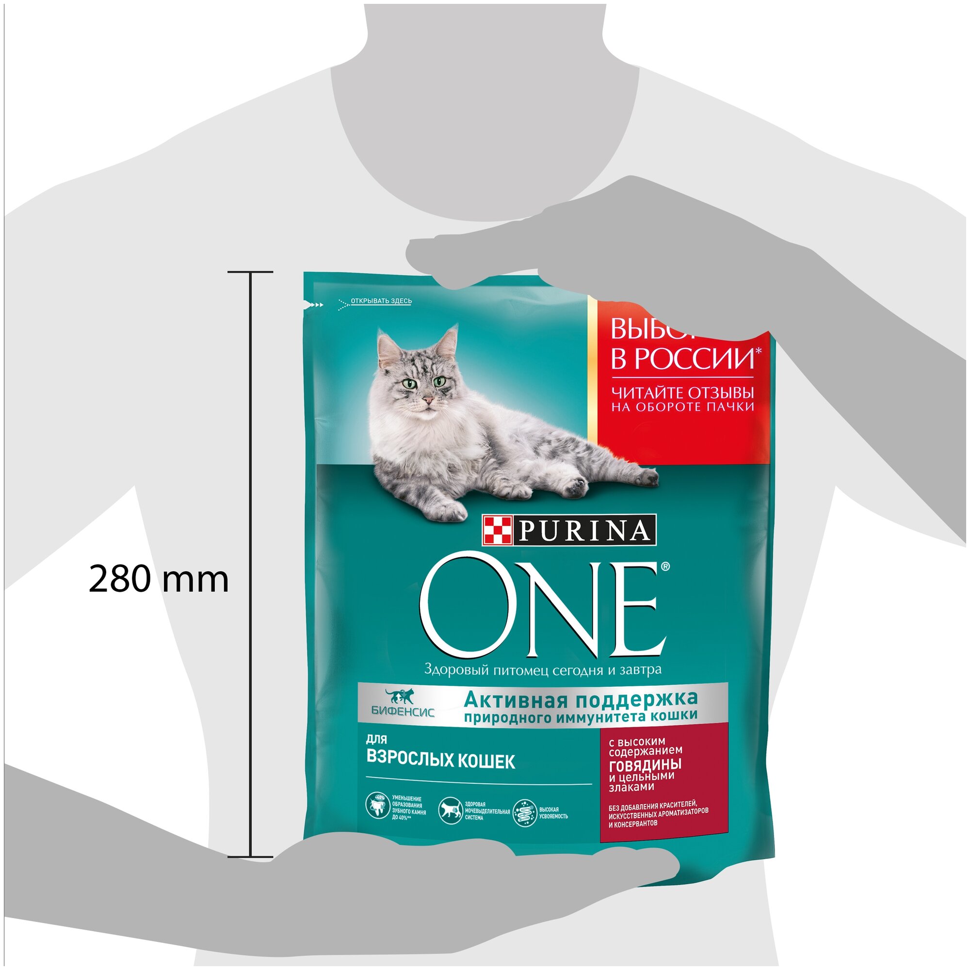 Сухой корм для кошек Purina ONE с высоким содержанием говядины и цельными злаками 750 г - фотография № 4