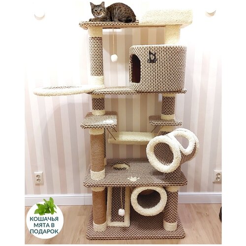 Домик для кошки когтеточка игровой комплекс для кошек ЛФ-215 бежевый
