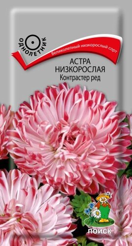 Семена Астры низкорослой 