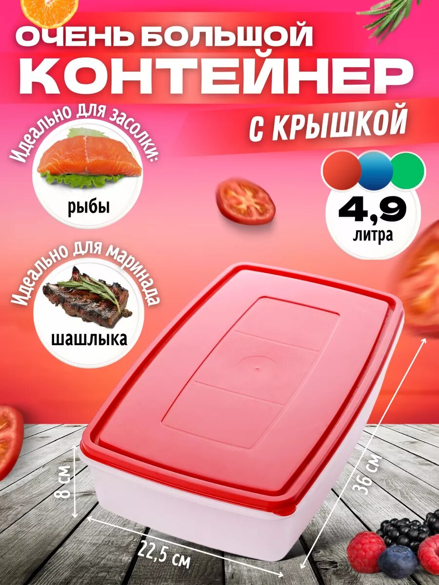 Контейнер для хранения еды большой 4,9 литра