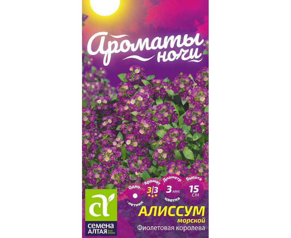 Семена Алиссум Фиолетовая Королева 01г Одн 15см (Семена Алтая) Ароматы ночи