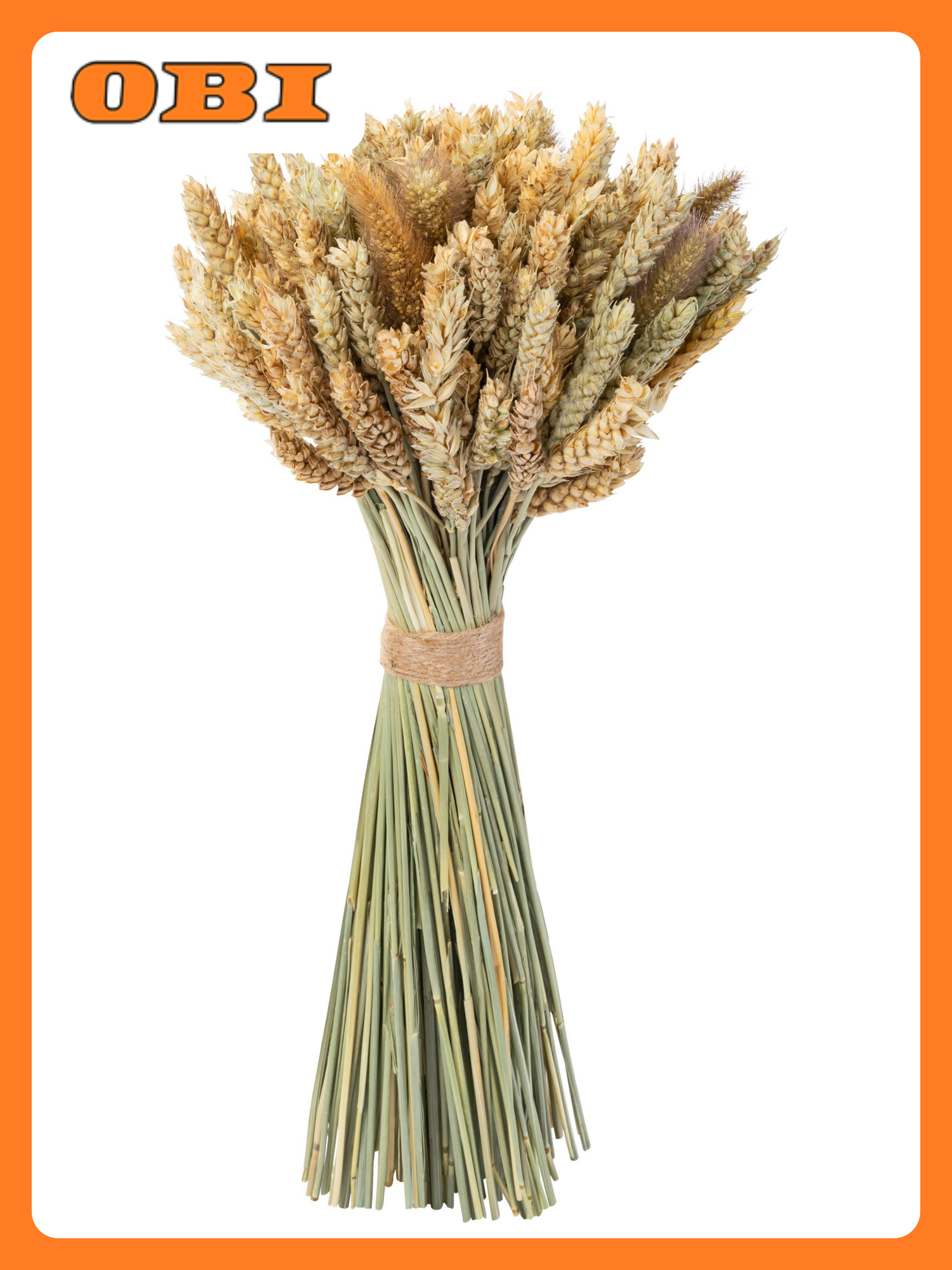 Букет из сухоцветов 