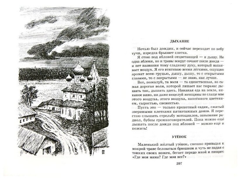 Матренин двор. Рассказы (Солженицын Александр Исаевич) - фото №3