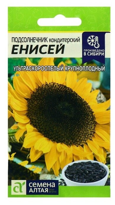 Подсолнечник Енисей Семена Гавриш ( 1 уп : 10 г )