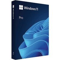 Microsoft Windows 11 Professional, ключ активации, глобальная версия - мультиязычный (бессрочная активация)