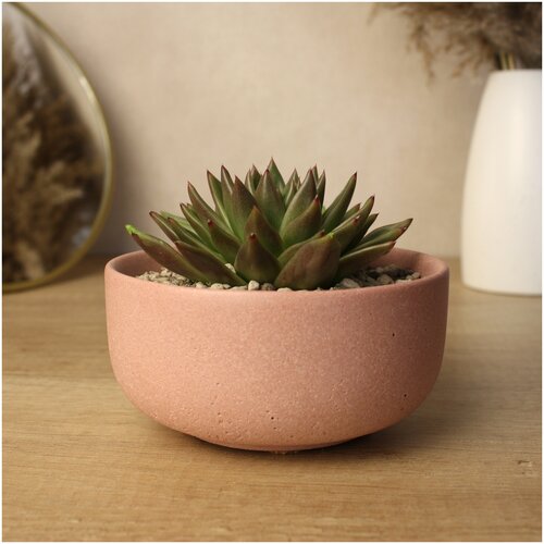 Горшок для цветов, кашпо 