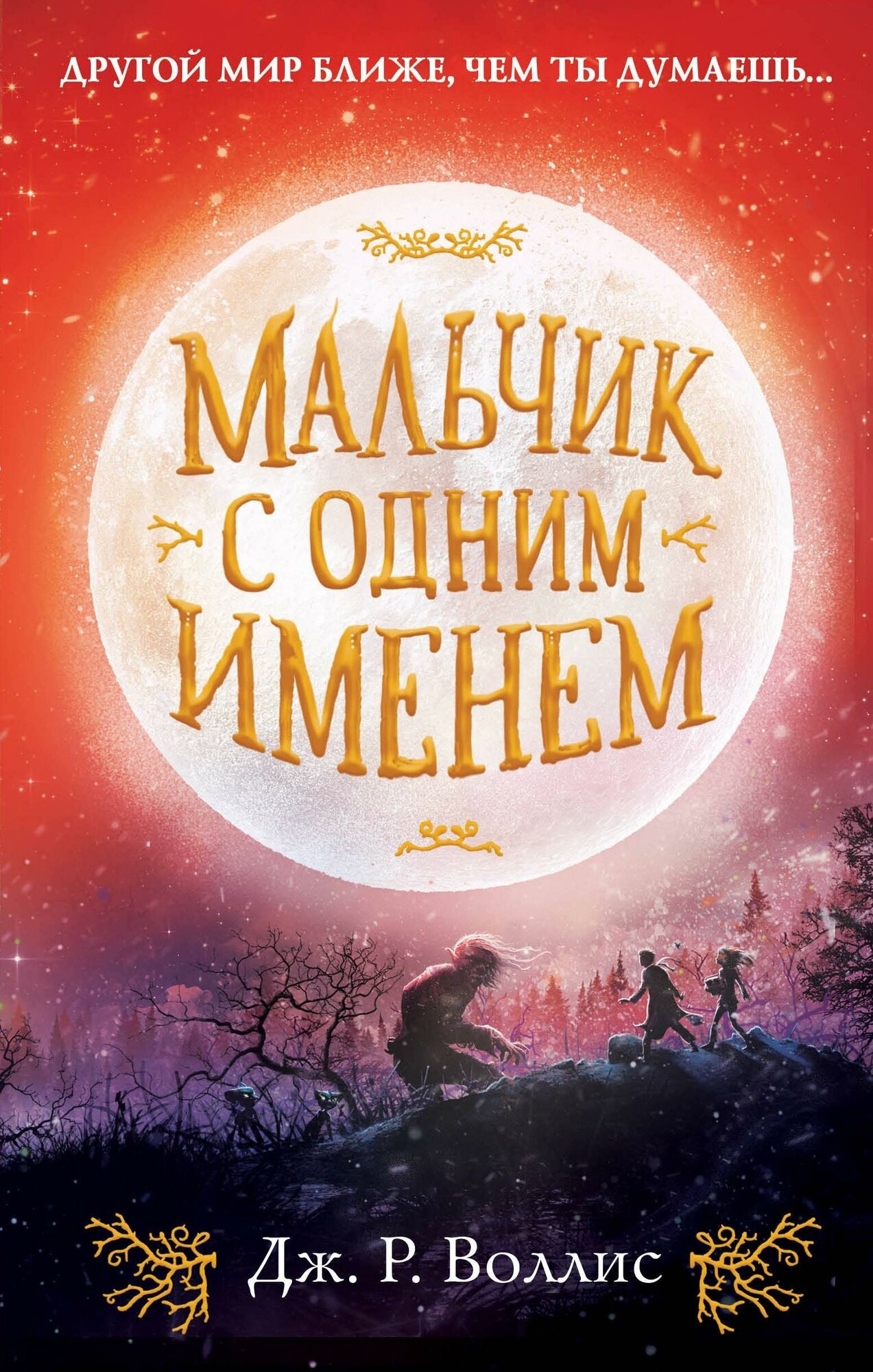 Воллис Д. Мальчик с одним именем (#1). Детск. Джонс и Руби в Пустынных землях. Фэнтези для подростков