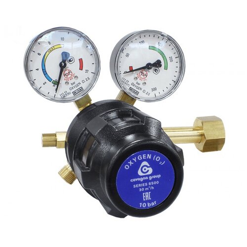 Cavagna Group 8500 85H0905009 25860₽