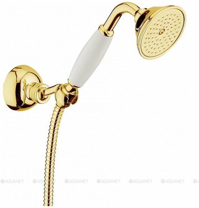 Душевой гарнитур Webert Shower Set AC0704010, золото